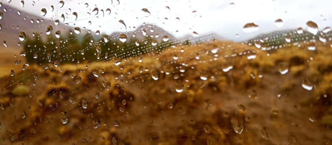 0cc4d33f-6eb2-4598-8831-312b1086f570