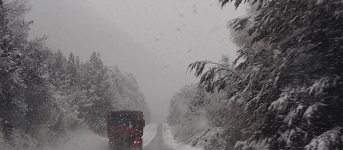 283079286_5178694905560132_554633761996869822_n