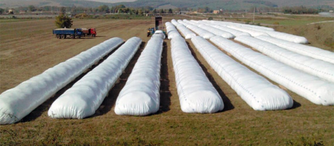 608bd86f08e2b-768x464