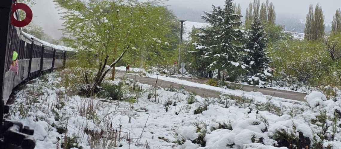 9eae2cc1-ac61-4392-9c3b-fd918eeb6251