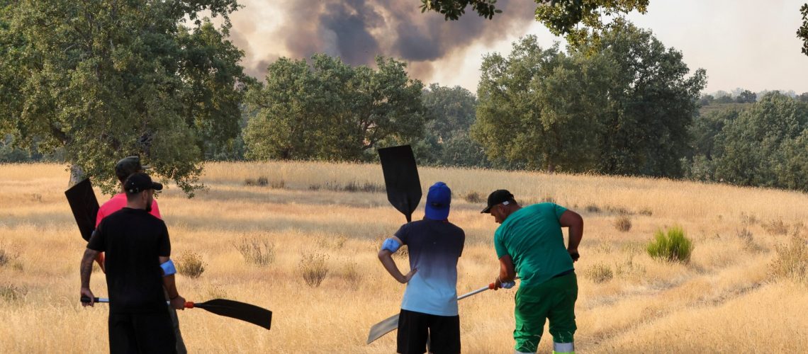 Última hora de los incendios en España, en directo |  El Gobierno pone fin a la emergencia de interés nacional por el fuego de Ávila y Madrid