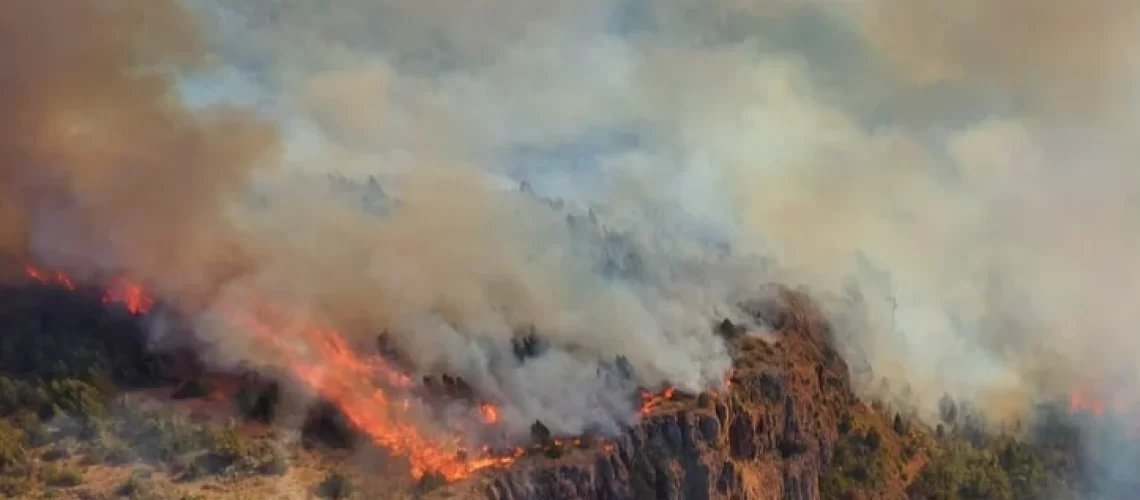 Incendio en cercanías del Parque Nacional “Los Alerces” 2