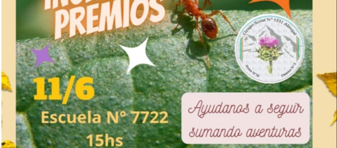 WhatsApp Image 2023-06-02 at 15.14.35