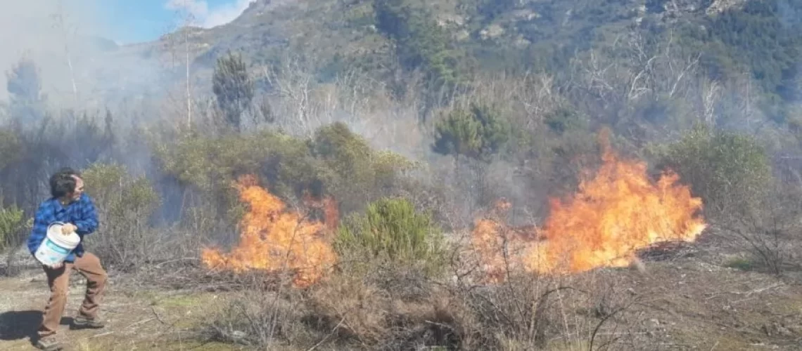 apaga-incendio-el-hoyojpeg