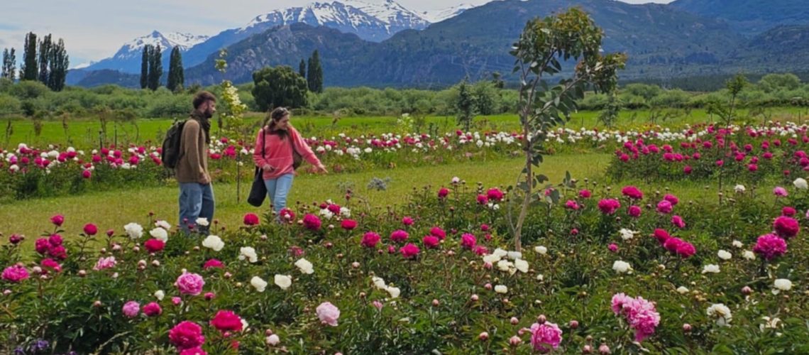 c88f72b1-89e7-4d77-8160-0843e36f3940