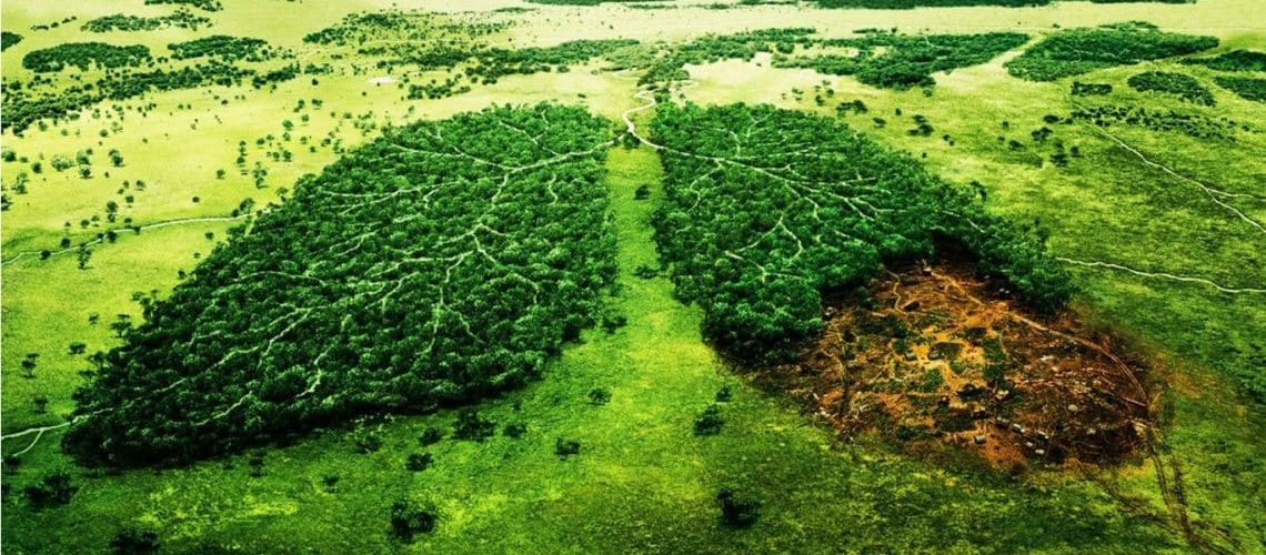 cuidado-del-medio-ambiente