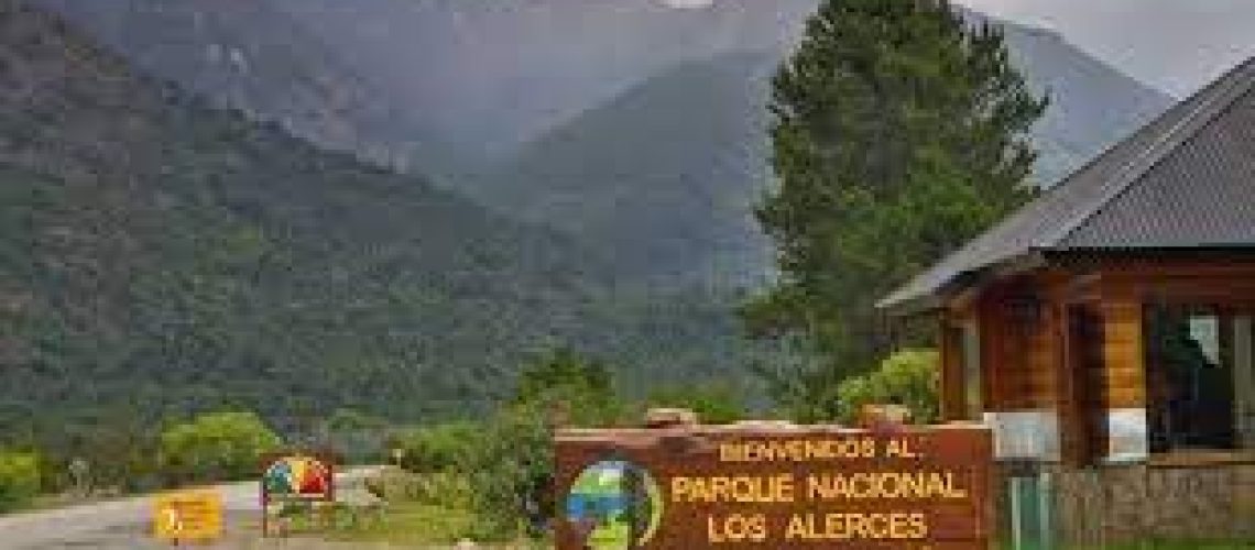 download