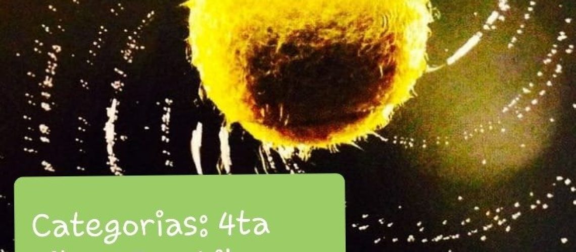 f29f18dd-2325-4e58-b320-7bfb4714a008