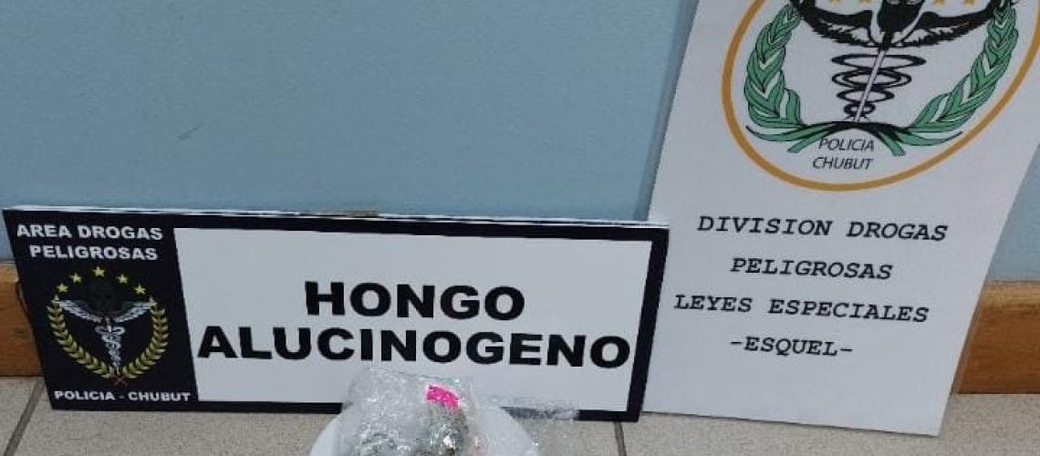 hongo