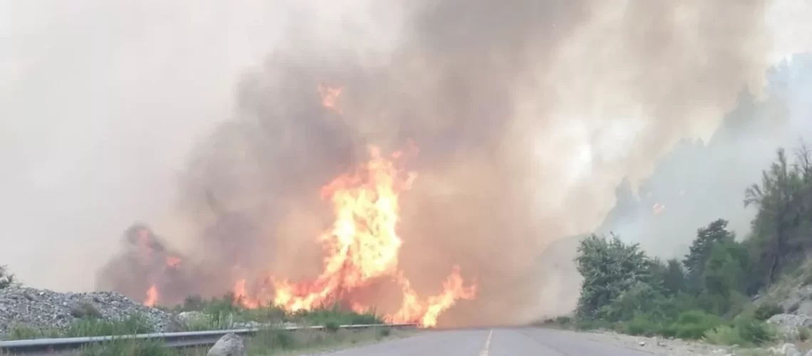 incendio-ruta-40-canadon-la-moscajpg