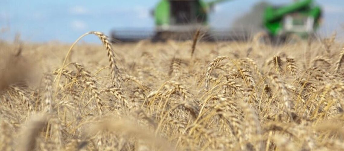 latam-ucrania-960x720