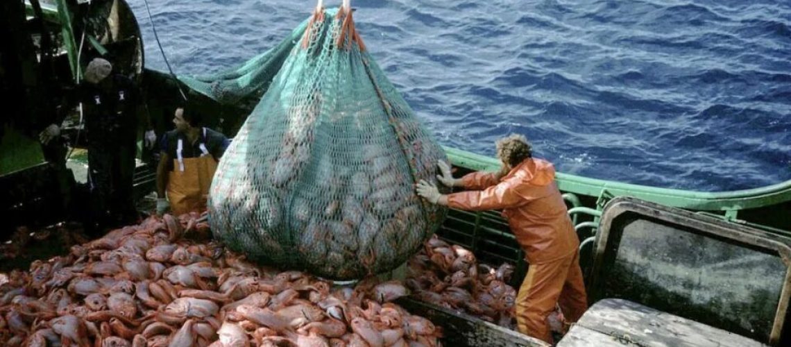 pesca-960x631