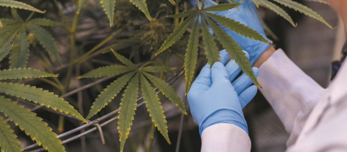 screenshot-2021-12-20-07-55-18