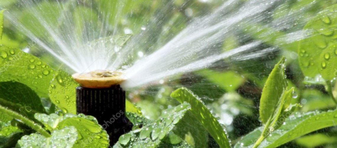 screenshot-2021-12-26-11-14-21