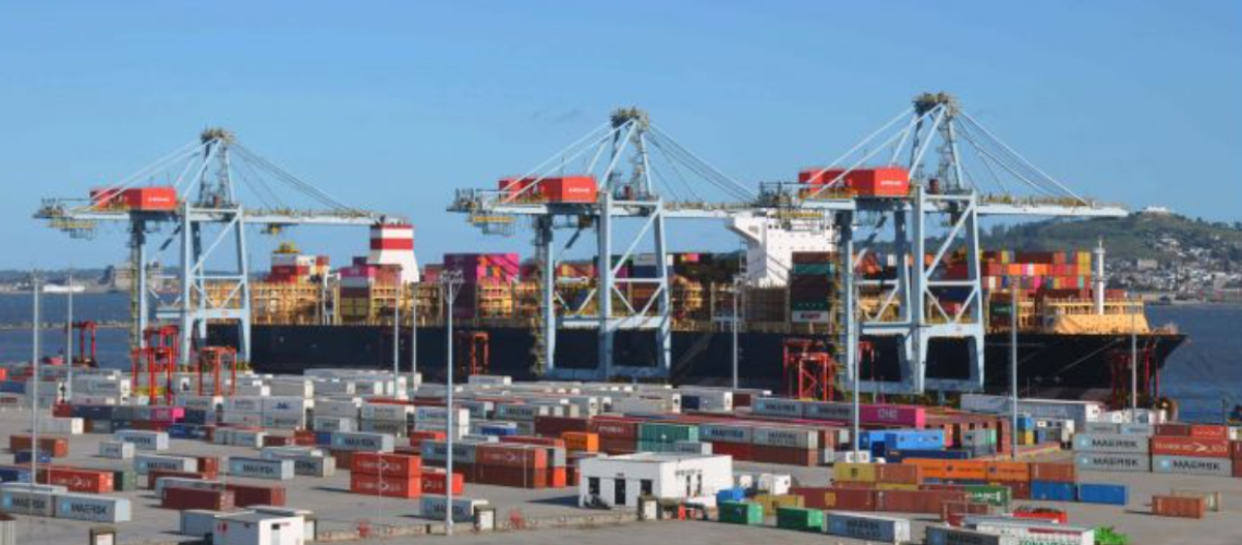 screenshot-2023-01-30-09-17-36